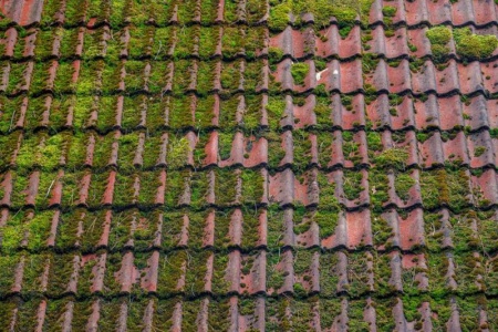 Pourquoi le d&eacute;moussage de votre toiture &agrave; Woippy est-il important ?